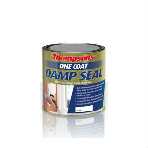 Thompson's One Coat Damp Seal